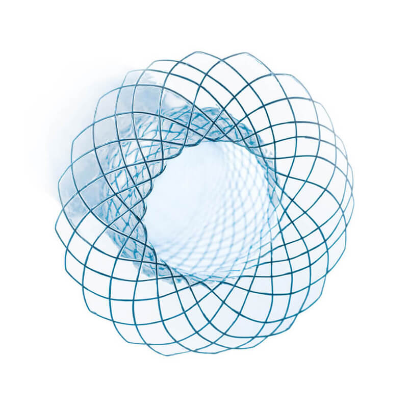 Cardia-Umbrella-Stent-titel