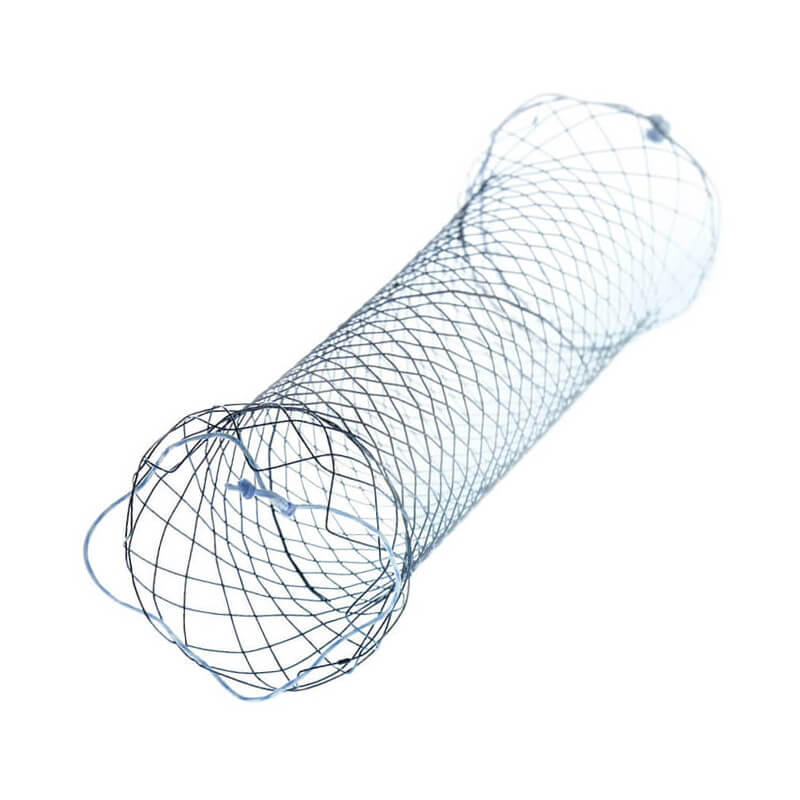 Duodenum-Stent-titel