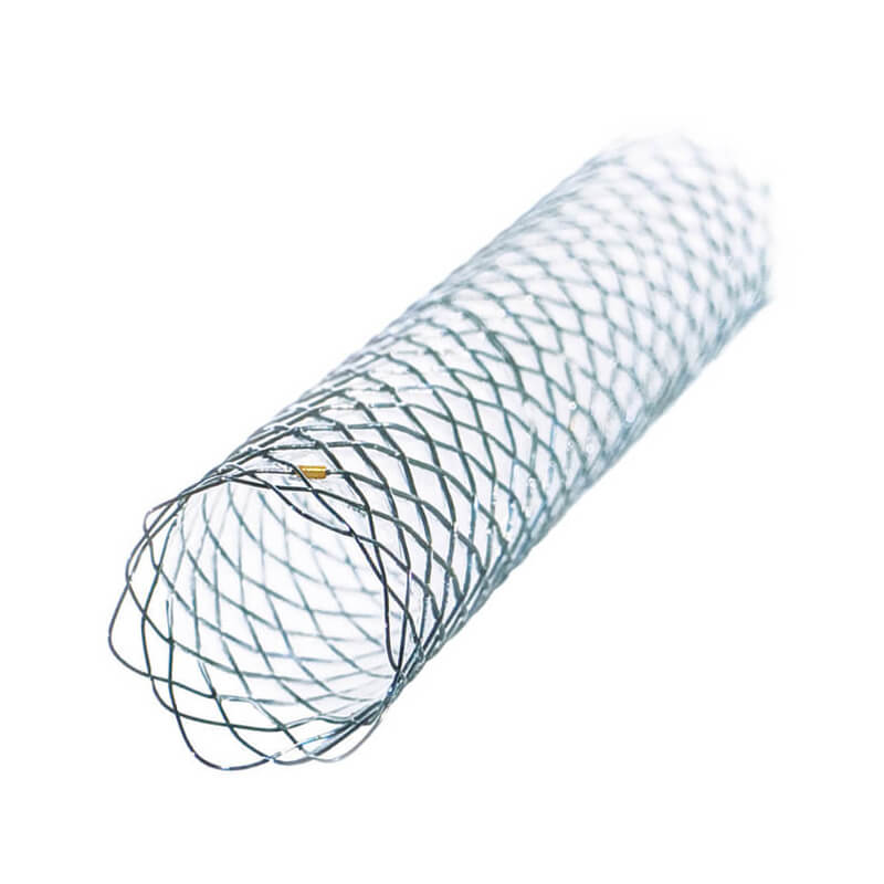 Gallengang-Stent-titel2