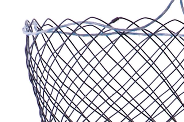 Oeso_Stent_Xray