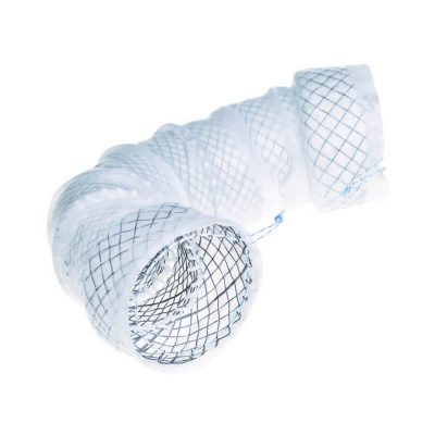 Segmentierter-Stent-titel