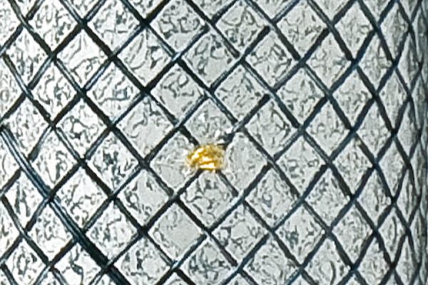 Softcup-Oeso_Stent_Xray