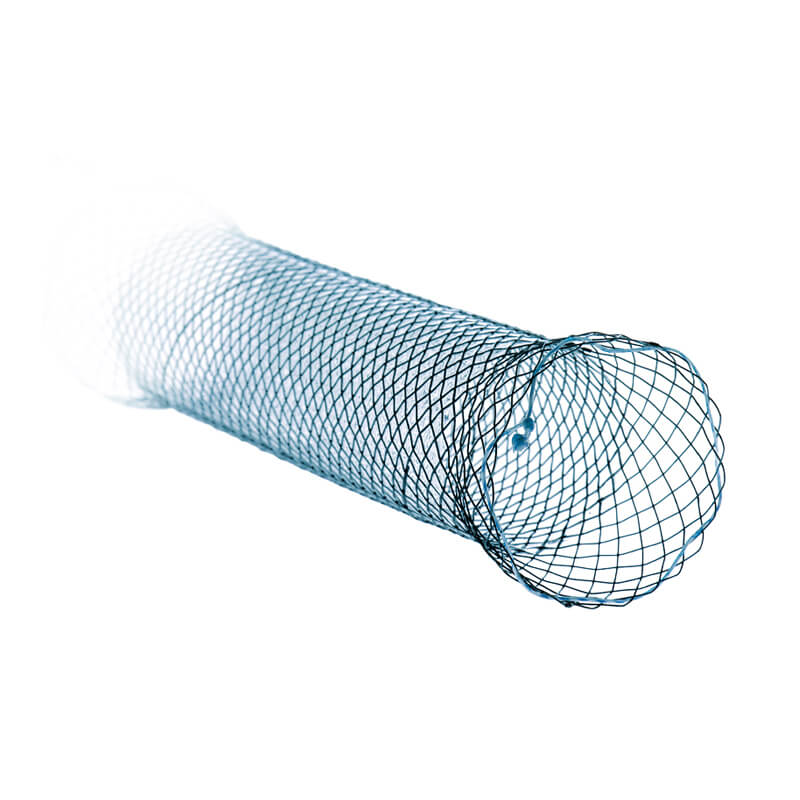Gastroskopie Oesophagus-Stent