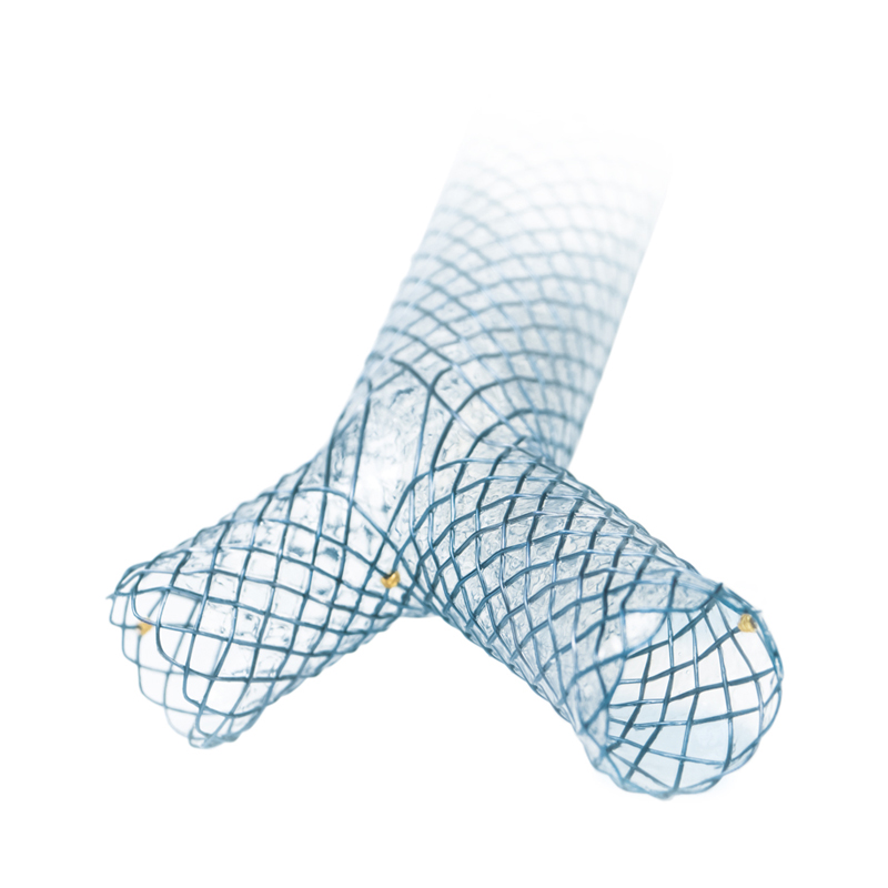 Pulmologie Carina-Y-Stent