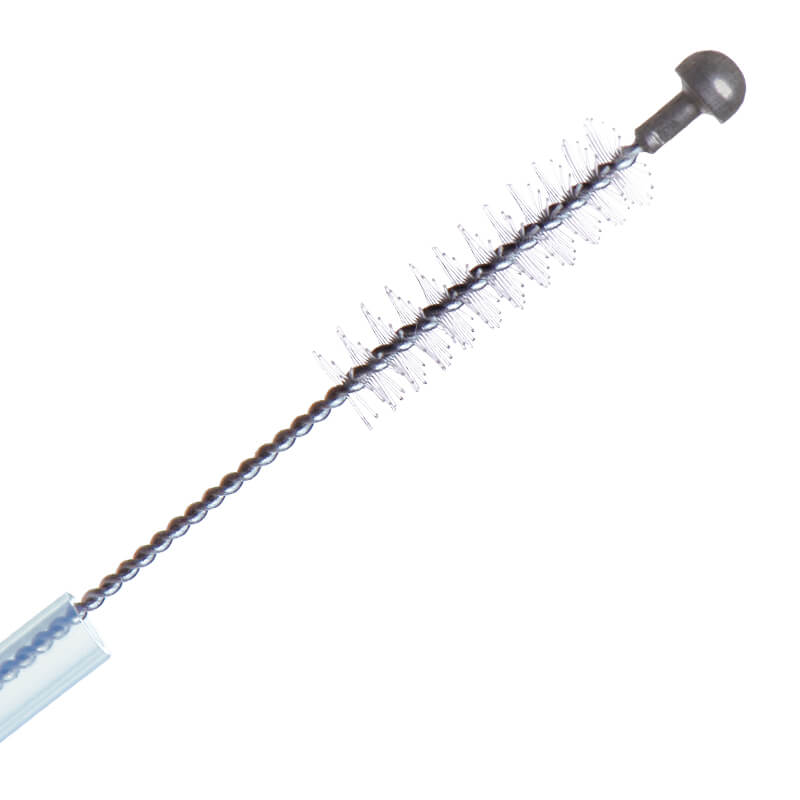 BROSSES CYTOLOGIQUES