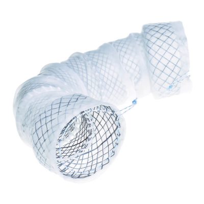 SEGMENTED STENT GEN I