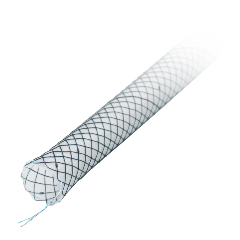 Gallengan-Stent_GEN-II_Titel_EN