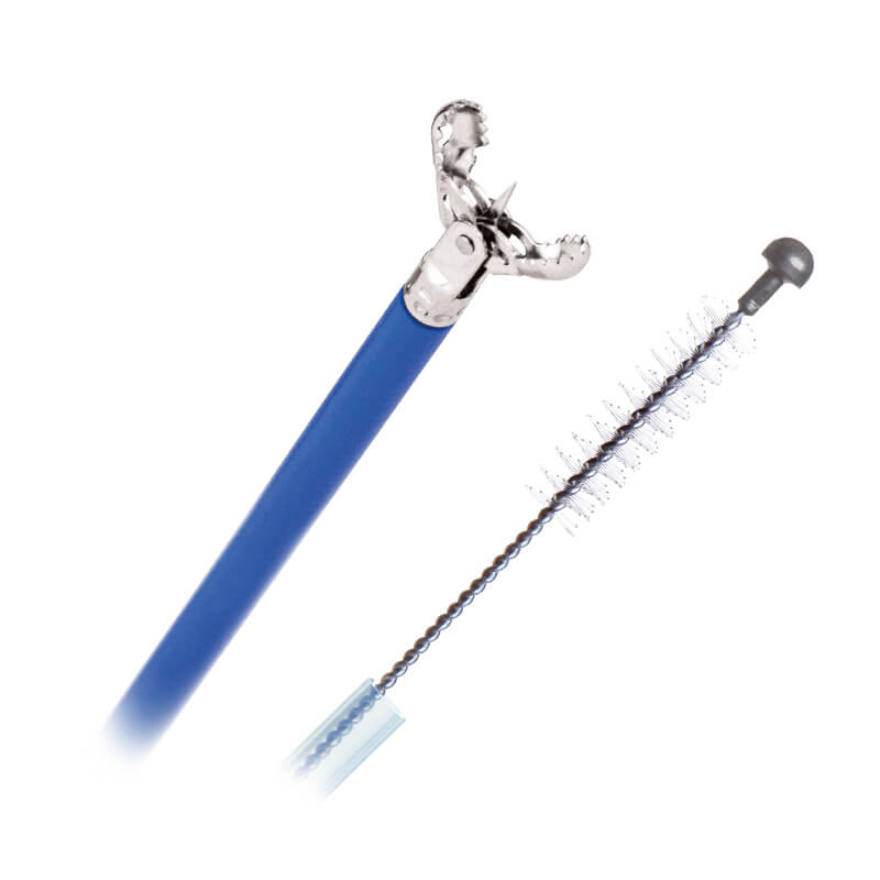 Biopsy Gastroscopy
