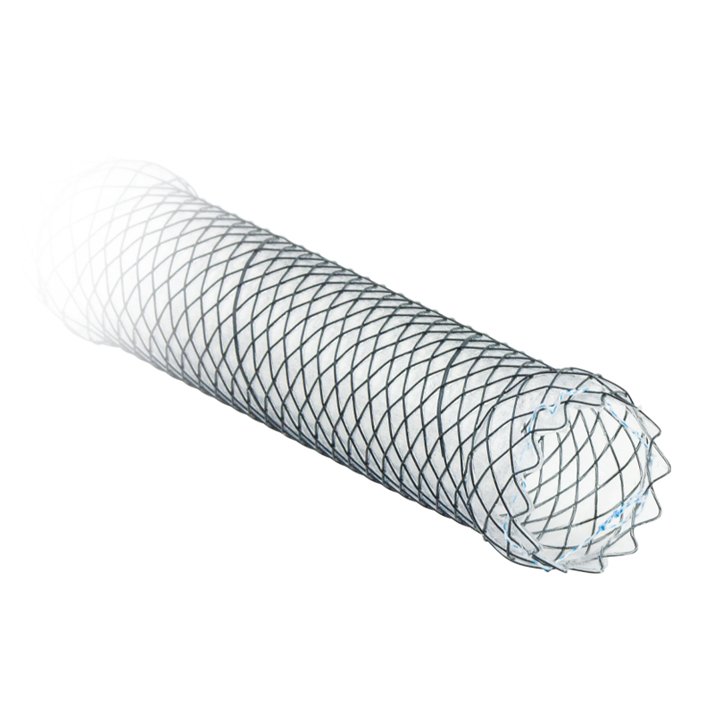 TTS-Broncho-Stent_Titel-EN_800x800
