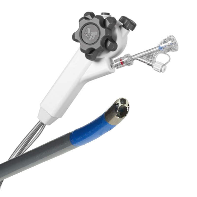 CHOLANGIOSCOPY