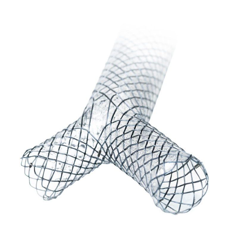 Carina-Y-Stent