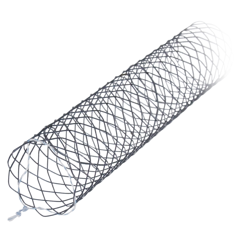 Nitinol Stents Biliary Stents