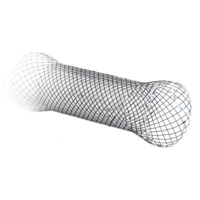 Oeso_Stent_Titel_EN