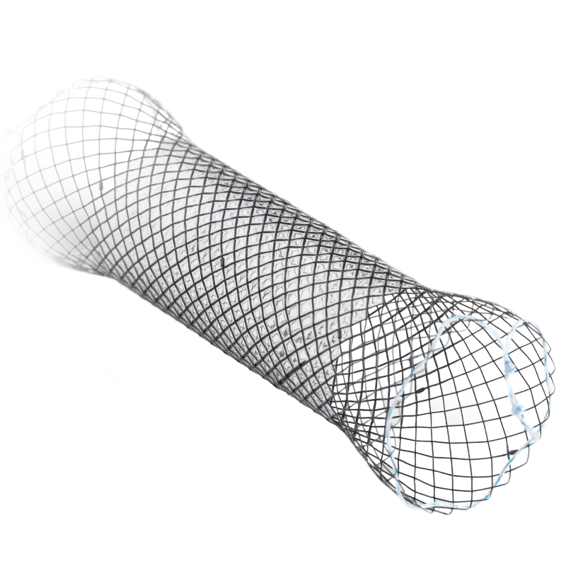 Oesophagus Stent
