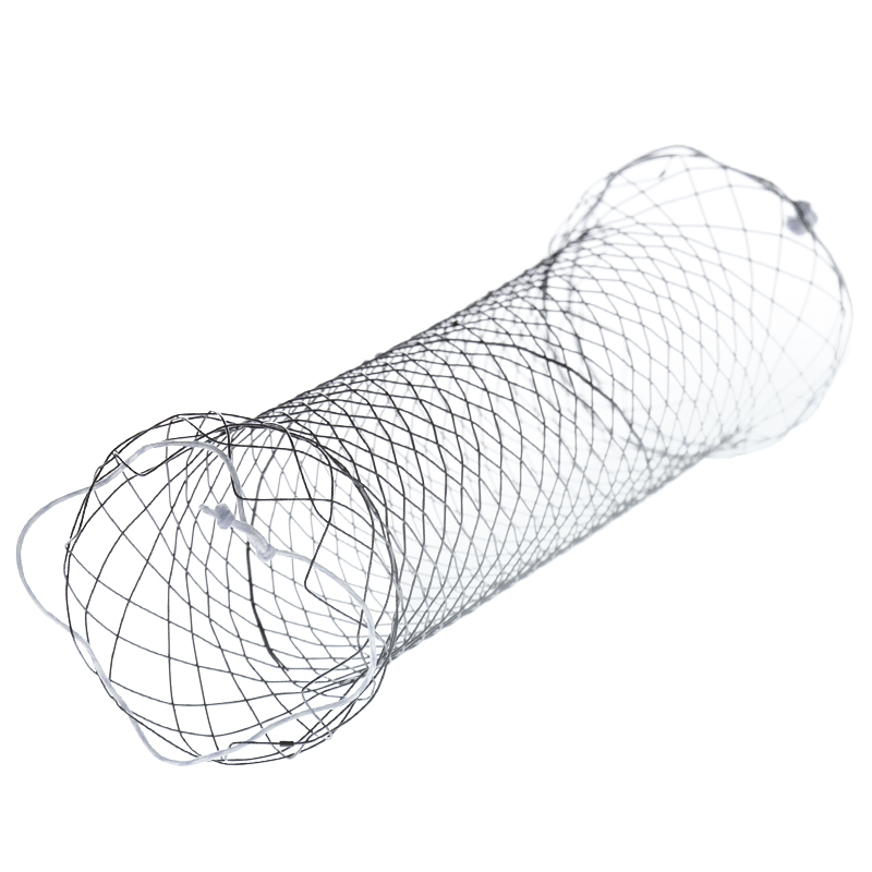 Duodenum Stents