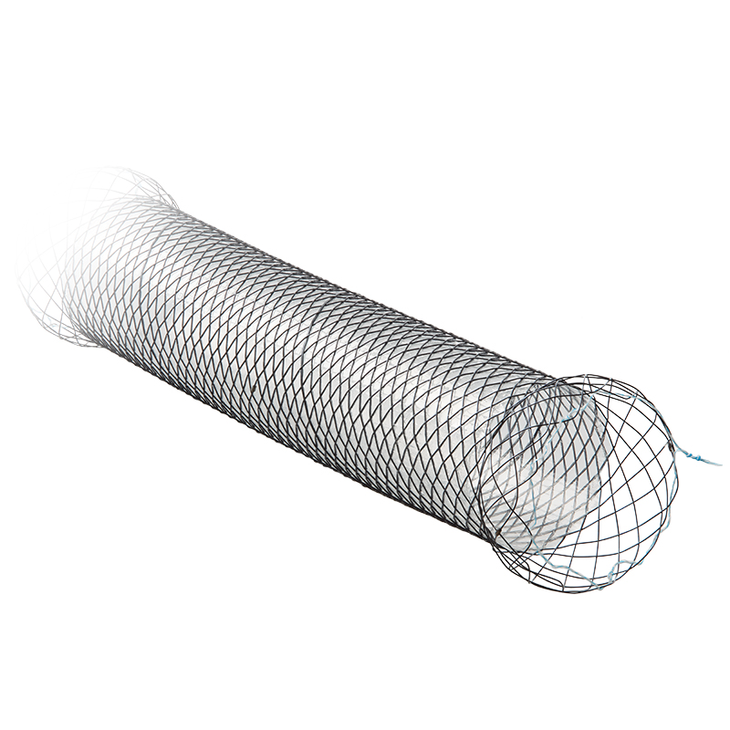 Kolon-Stents TTS