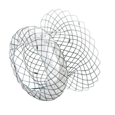 PSEUDOCYST STENT