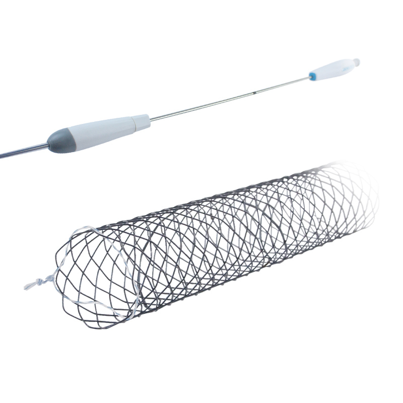 Sow-Metal-Stent